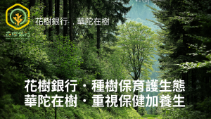 花樹銀行