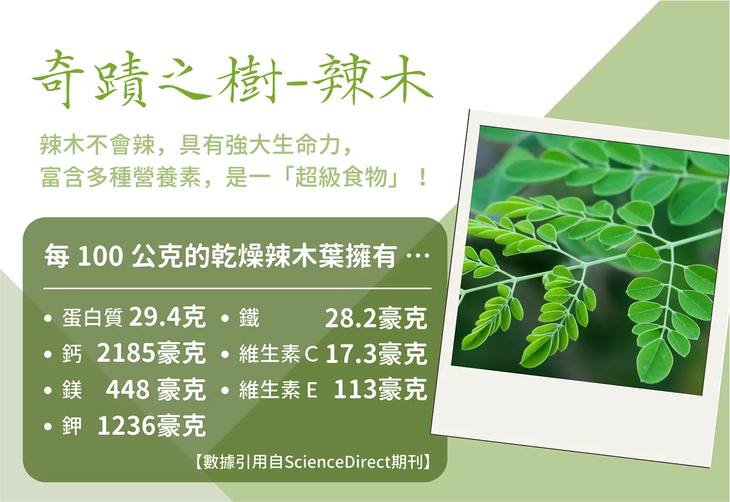 【花樹銀行】奇蹟胜肽營養包 (辣木+苦瓜胜肽+蒲公英+桑葉) (代餐包) 15入/盒 6 營養包 04