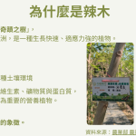 螢幕擷取畫面 2026 03 25 170323