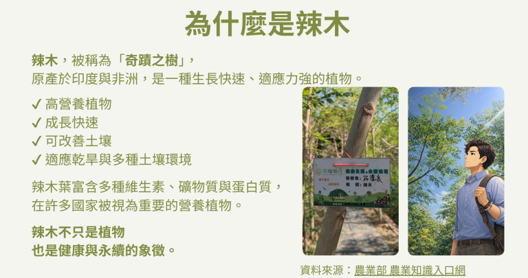 為健康帶來奇蹟 – 5：工程師的精密，遇見大自然的規律