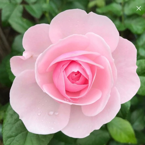 螢幕擷取畫面 2026 03 27 161704