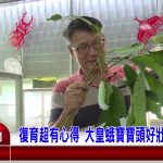 9832c30eeb710fa22d26d45f8d0d985c