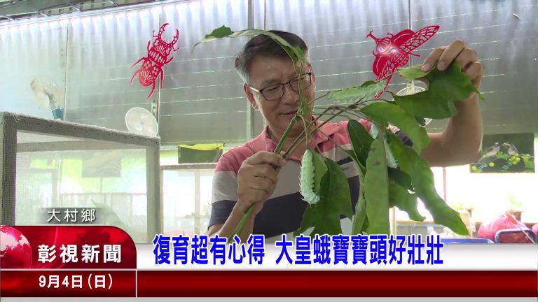 為健康帶來奇蹟 – 13：當科技的「精準」遇見大自然的「等待」 🦋