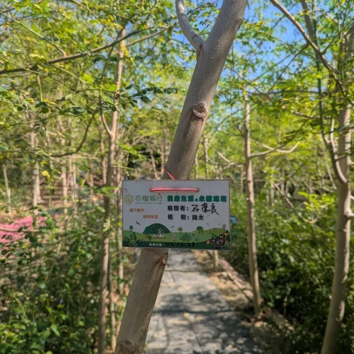 衛福部長 – 石崇良– 在花樹銀行種下的辣木樹