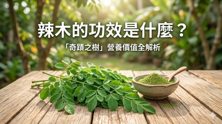 辣木的功效是什麼？「奇蹟之樹」營養價值與常見問題全解析