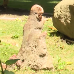 螢幕擷取畫面 2026 04 05 135140