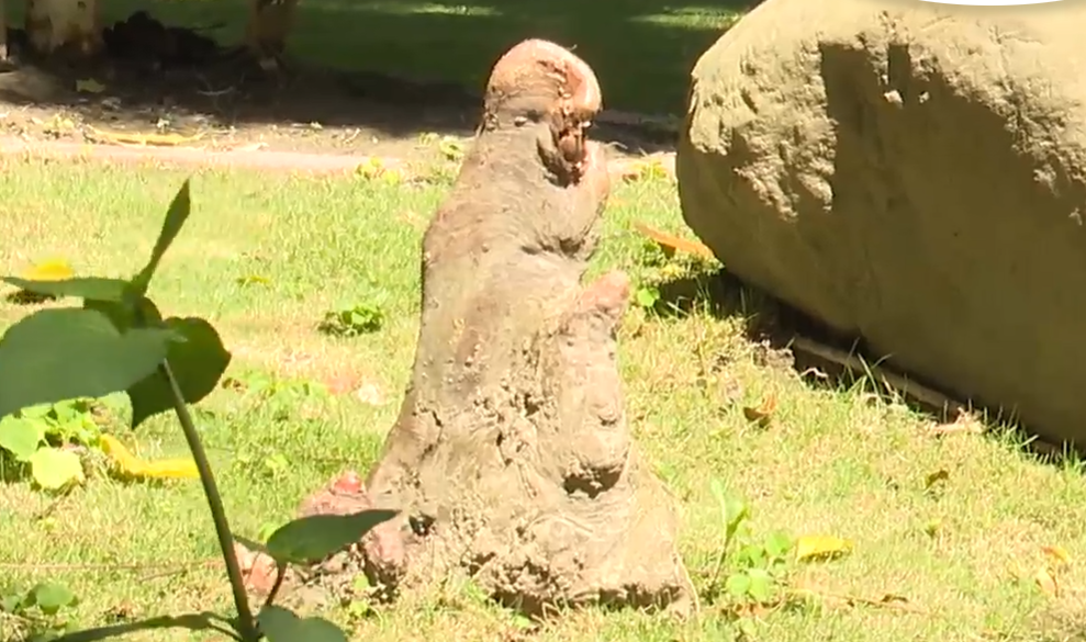 螢幕擷取畫面 2026 04 05 135140