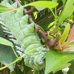 螢幕擷取畫面 2026 04 22 185441