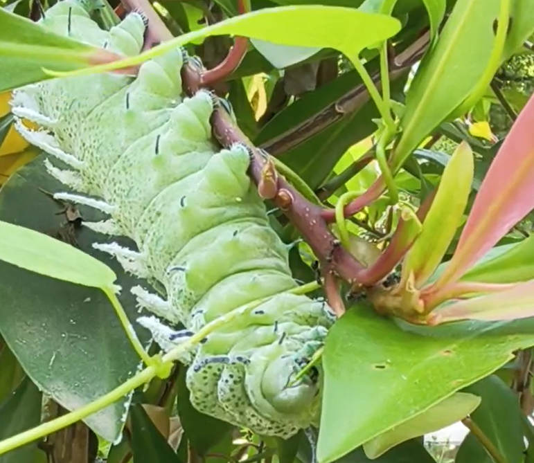 螢幕擷取畫面 2026 04 22 185441