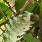 螢幕擷取畫面 2026 04 23 222747