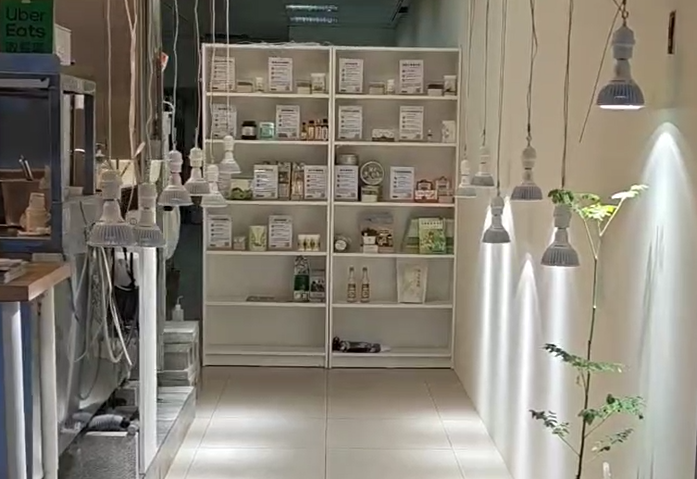 【新店報報】室內全日照植物燈架設完成！花樹銀行桃園分行「辣木步道」即將登場！