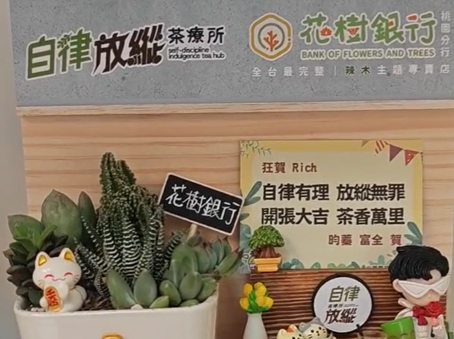 【生活綠學】當自律放縱遇上花樹銀行：一款微縮景觀花盆，如何完美還原我們的「辣木奇蹟」？