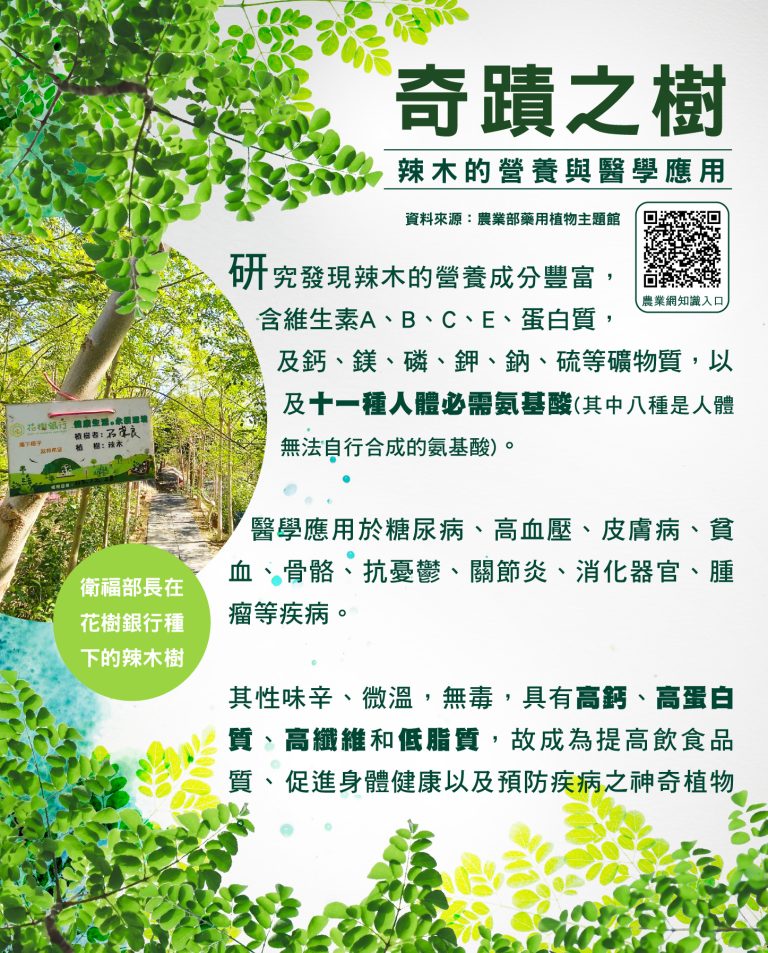 「奇蹟之樹」辣木真的那麼神奇嗎？我查了農業部資料後，發現比想像中更有趣