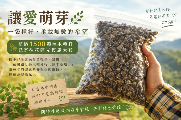 一袋 1500 顆種子的旅行：從平地寄往花蓮，種下的不只是辣木