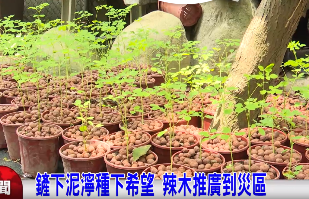 螢幕擷取畫面 2026 07 10 164415