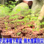 螢幕擷取畫面 2026 07 10 164415